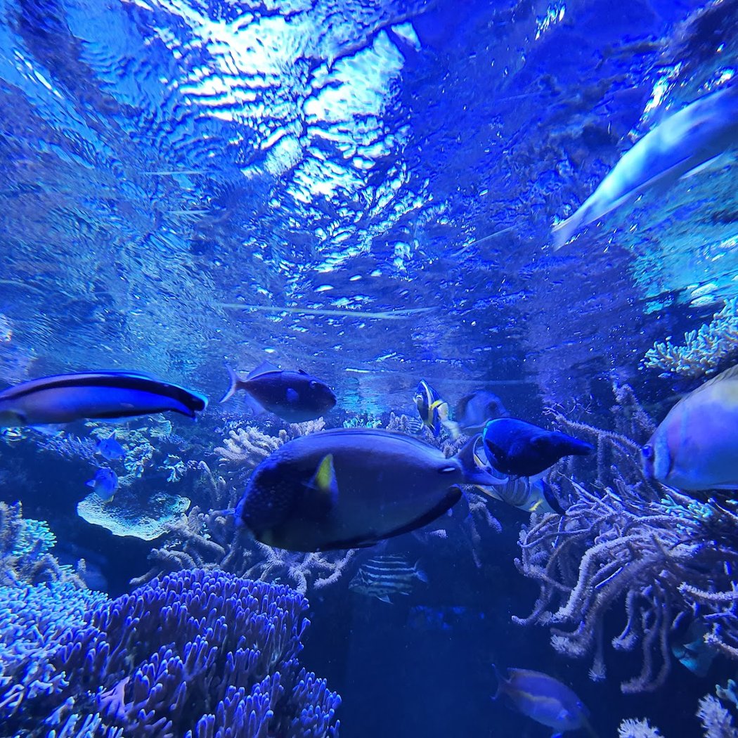 Visite de l'exposition Migrations et climat 5