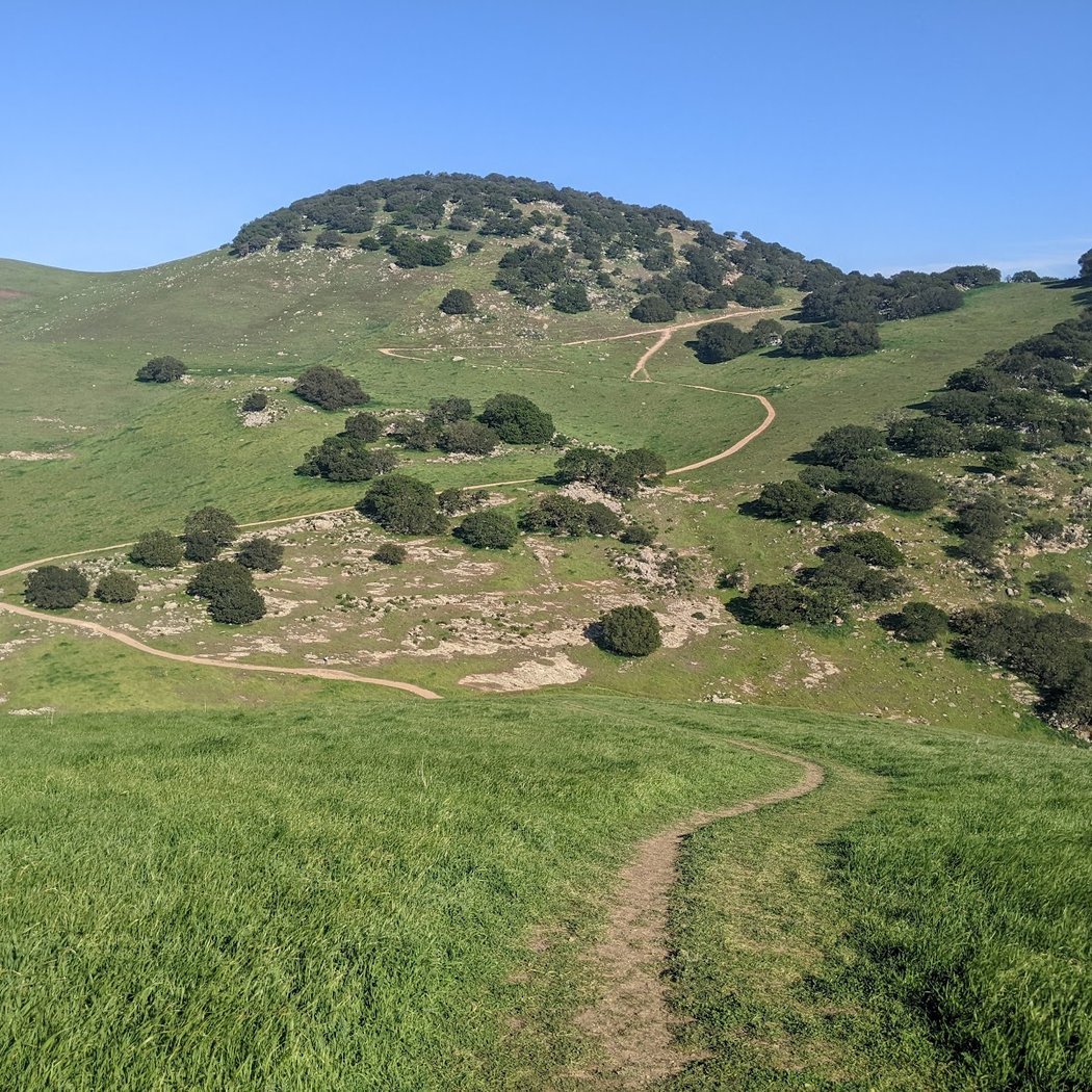 Brushy Peak Regional Preserve 1