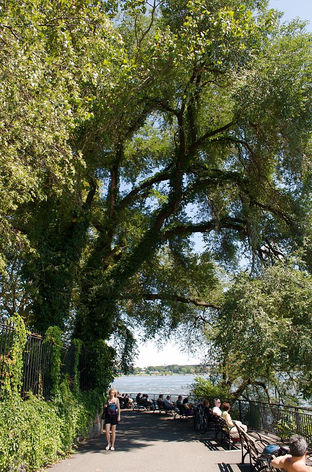 Carl Schurz Park 5