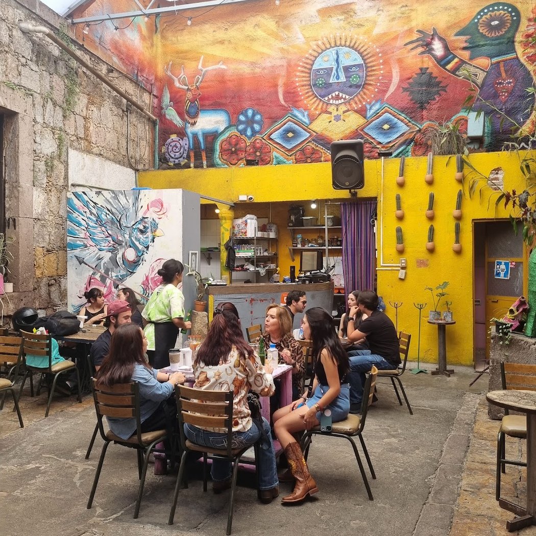 Cactux Gastrocultura 1