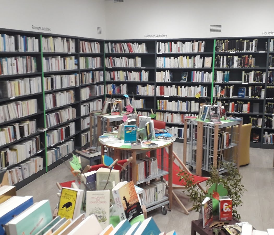 Library Maryse Condé 1