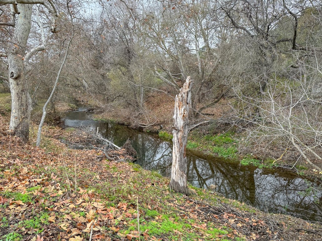 Los Alamitos Creek Trail 2