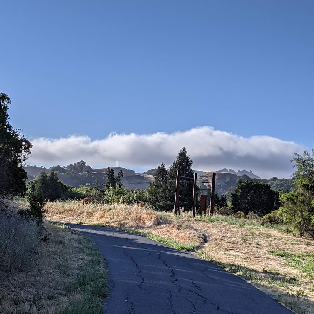 Lafayette/Moraga Regional Trail 3