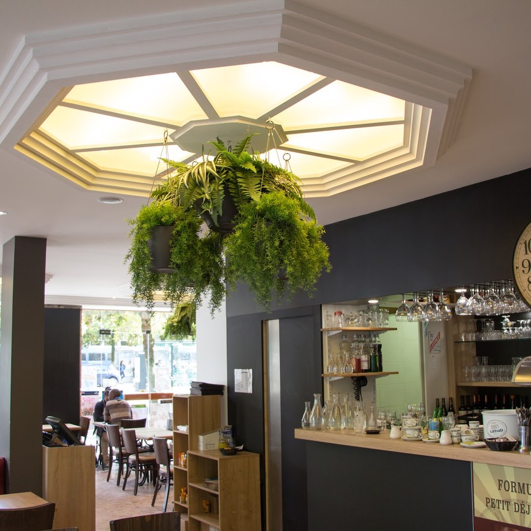 Café des Plantes 3