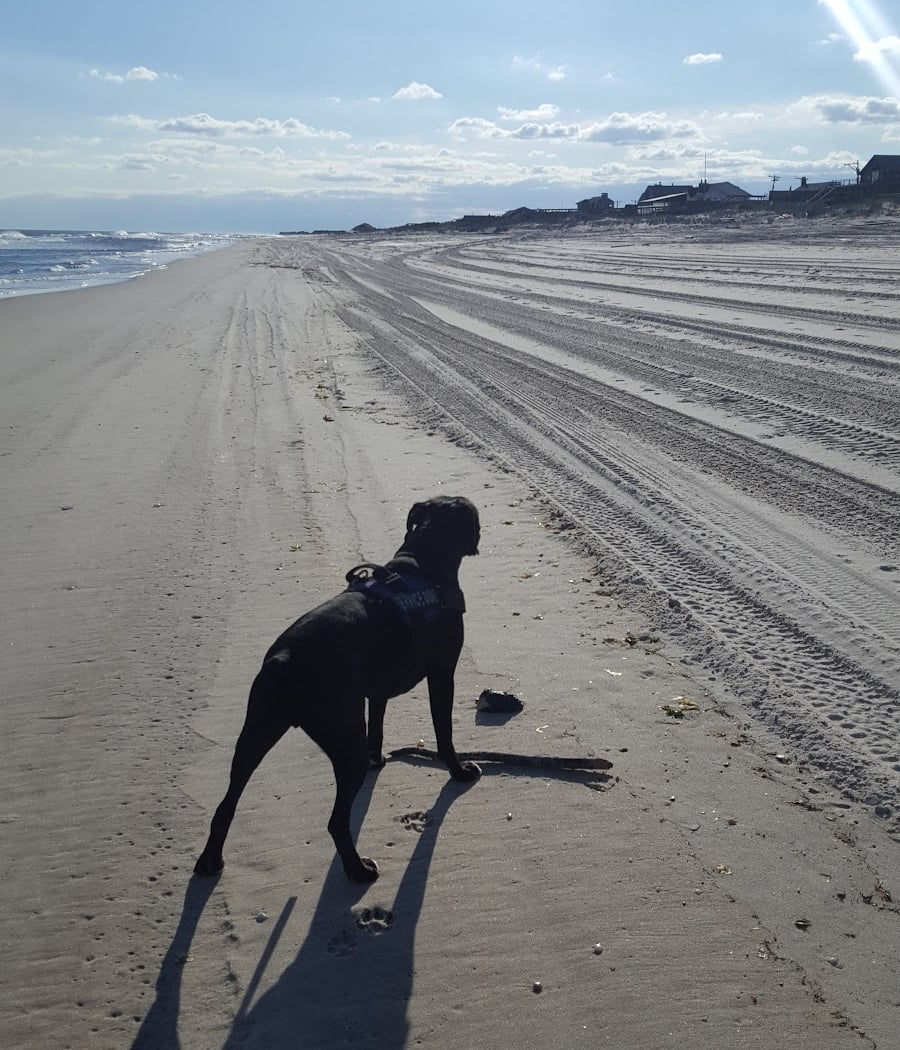 Cherry Grove 2