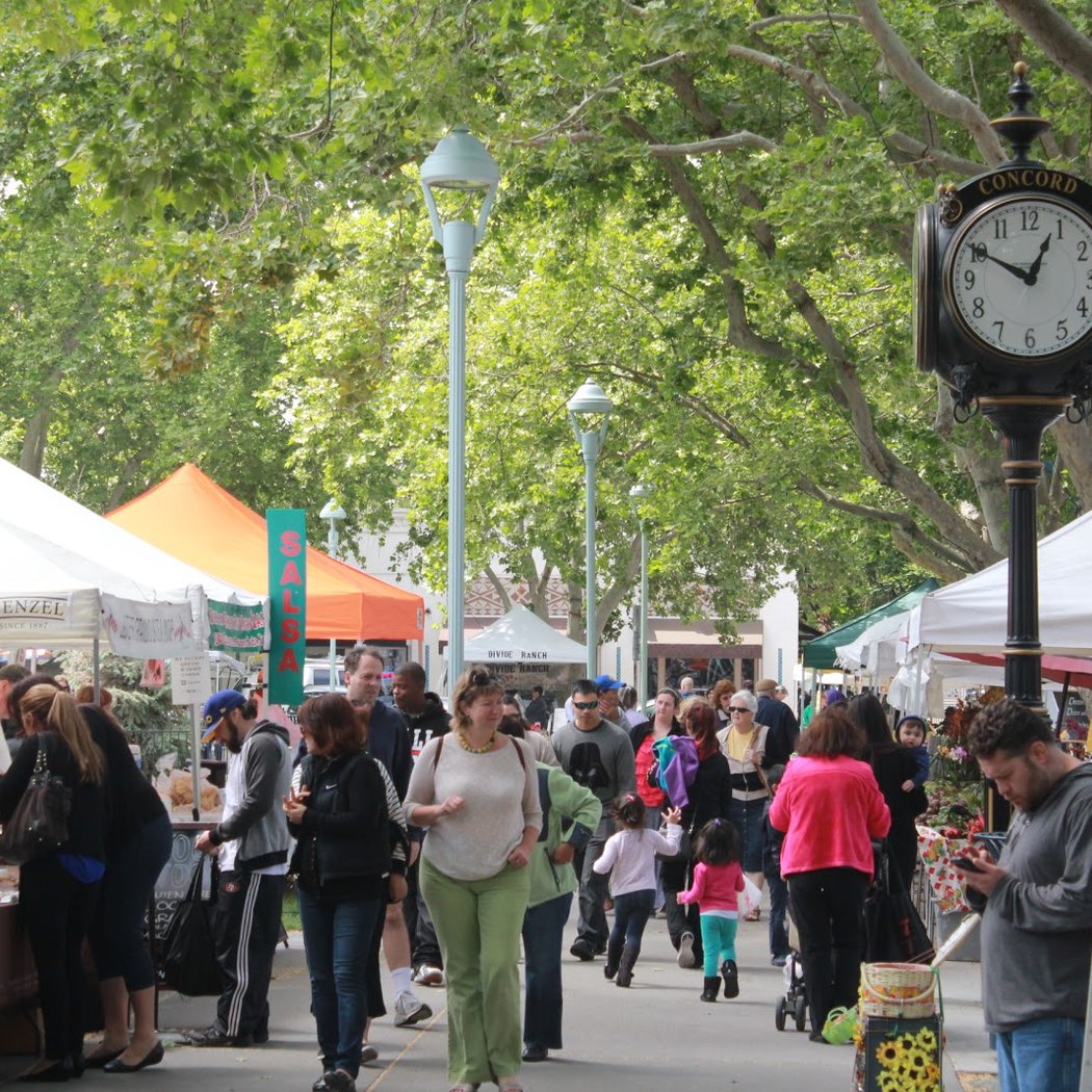 Todos Santos Plaza Farmers' Market 3