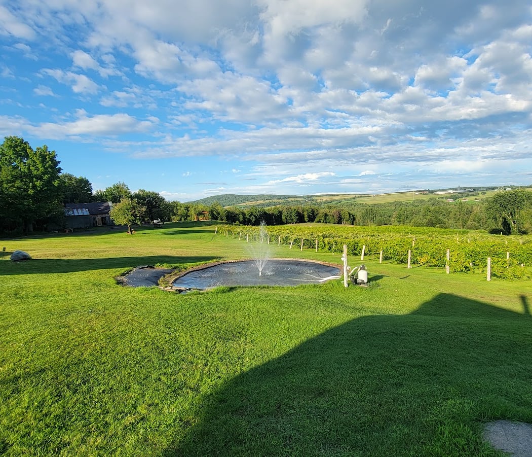 Vignoble Les Côtes Du Gavet 3