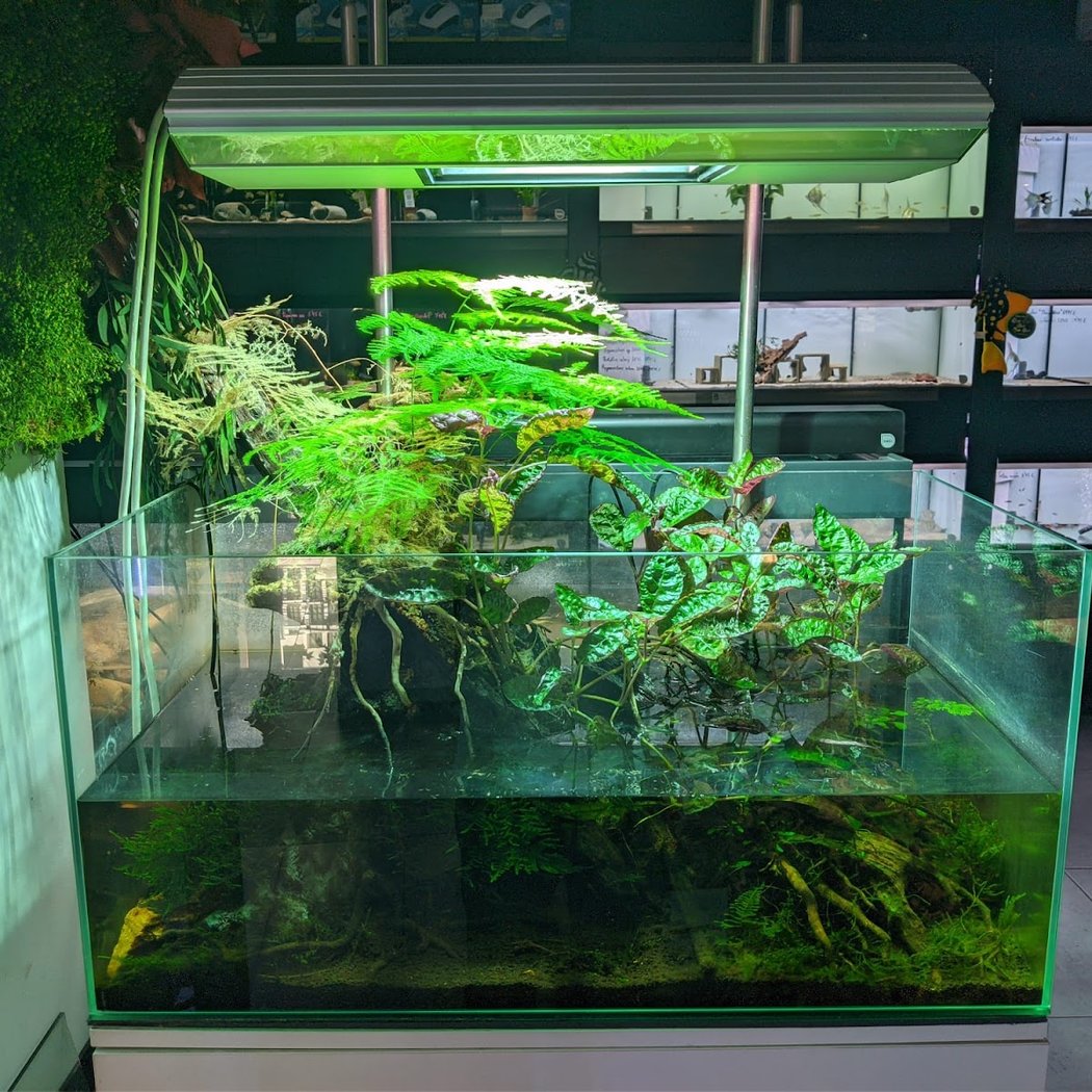 Kaminature - Jardines verticales, acuarios y césped artificial 1