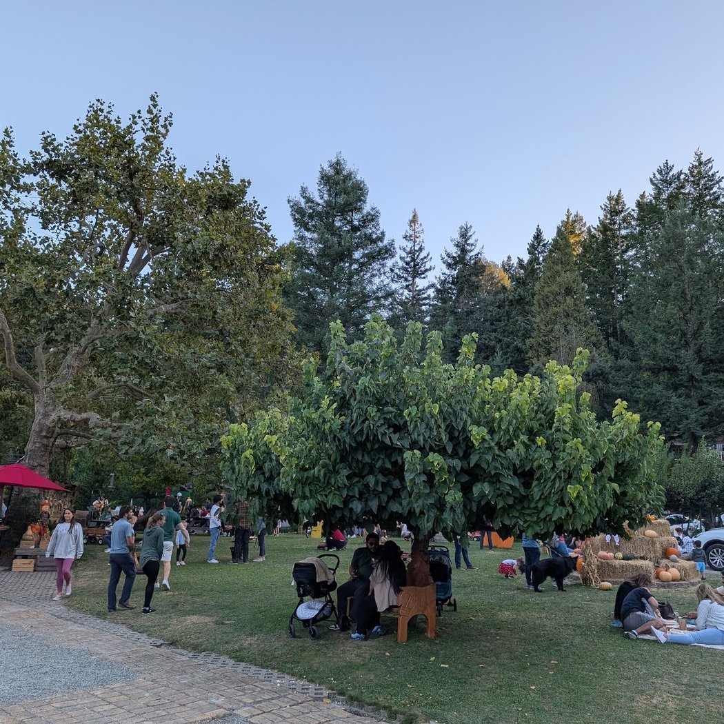 Patchen Tree Farm and Pumpkin Patch 3