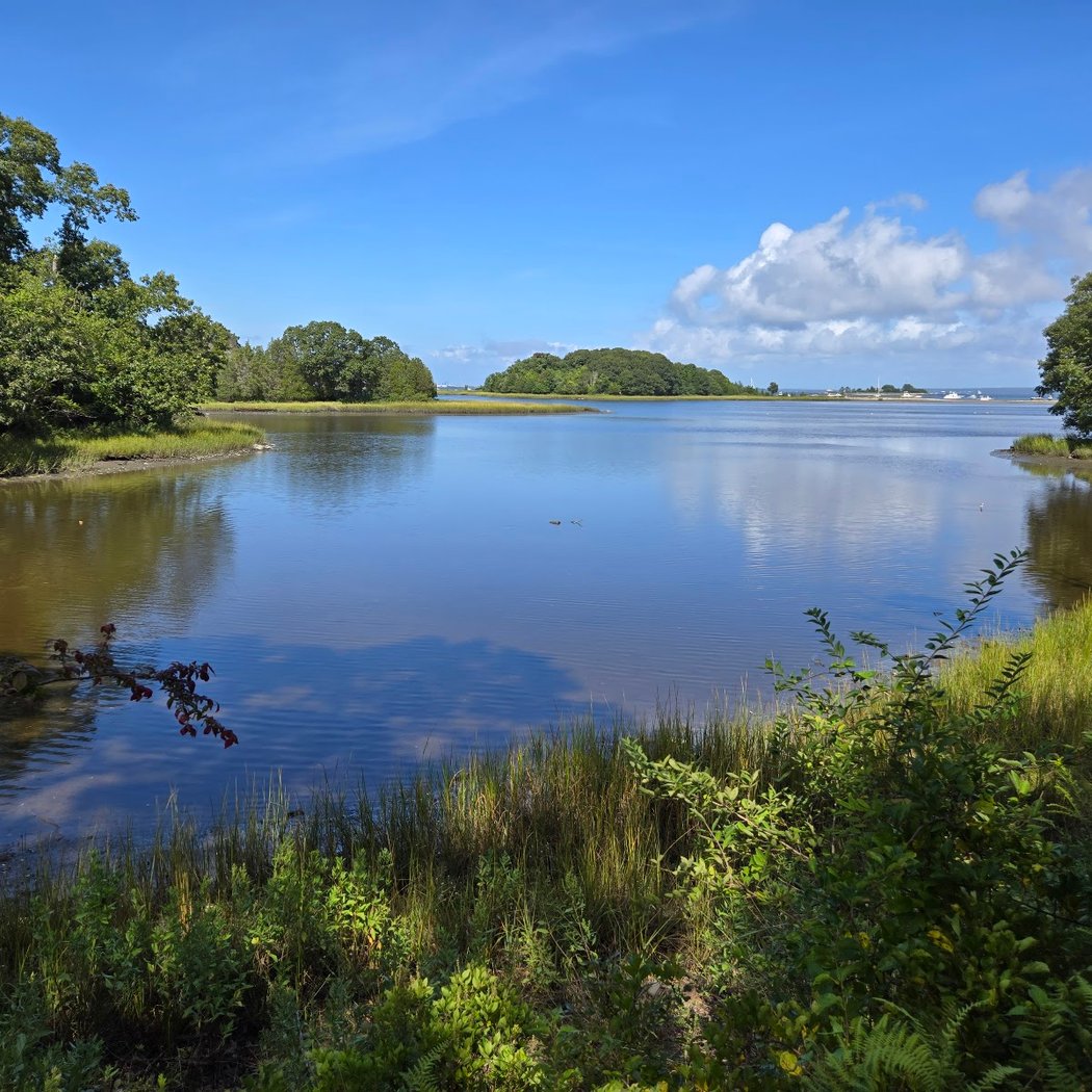John H. Chafee Rome Point Preserve 1