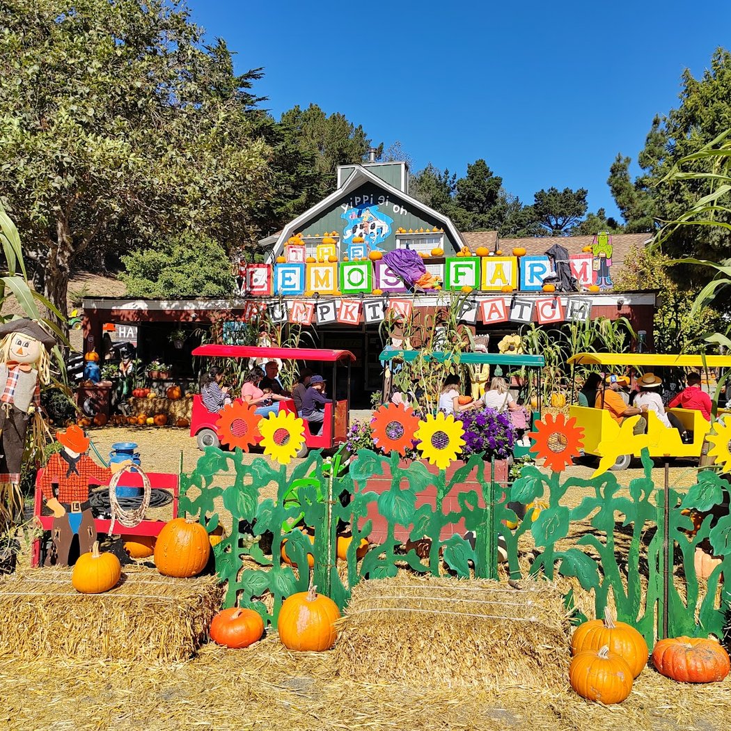 Family Amusement Parks 1