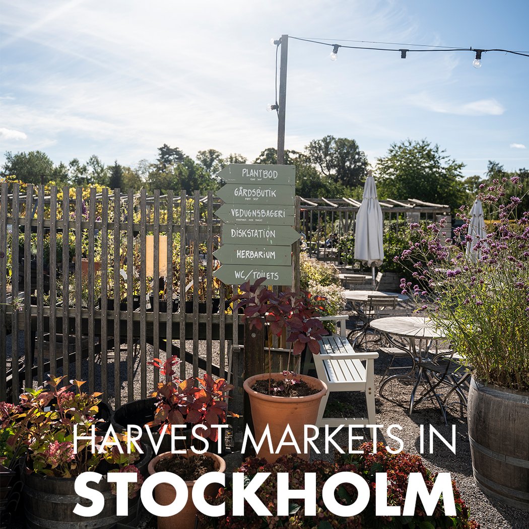 Harvest Market