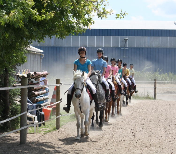 Centre Equestre Du Bois Brule 2