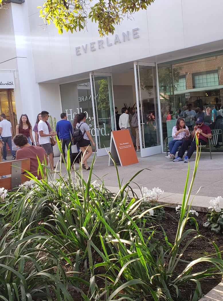Everlane 2