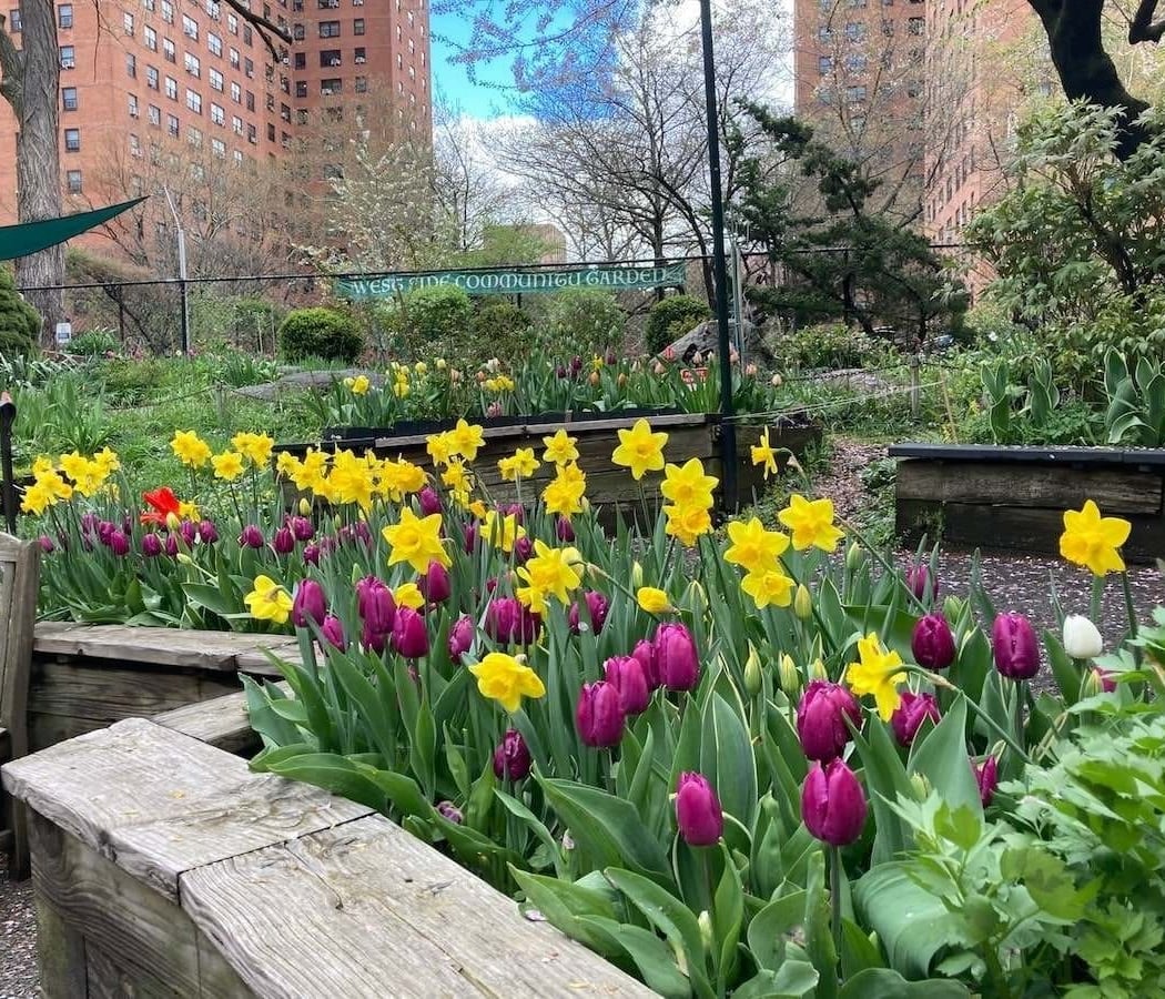 West Side Community Garden 3