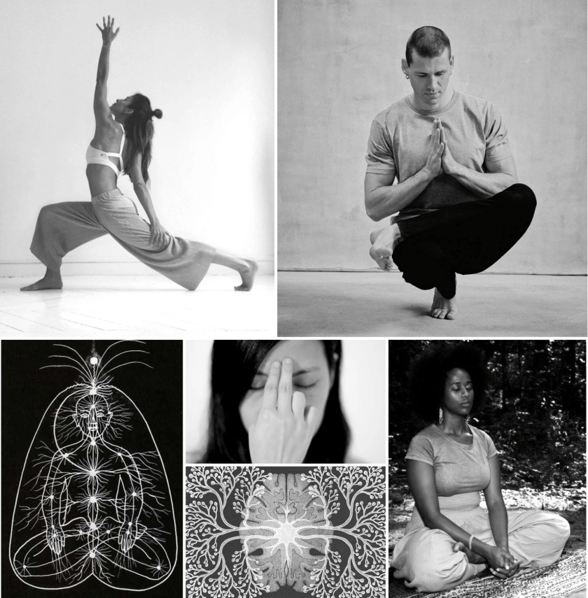 L’ATELIER DE YOGA INTÉGRAL (MENSUEL) 2025/2026 2
