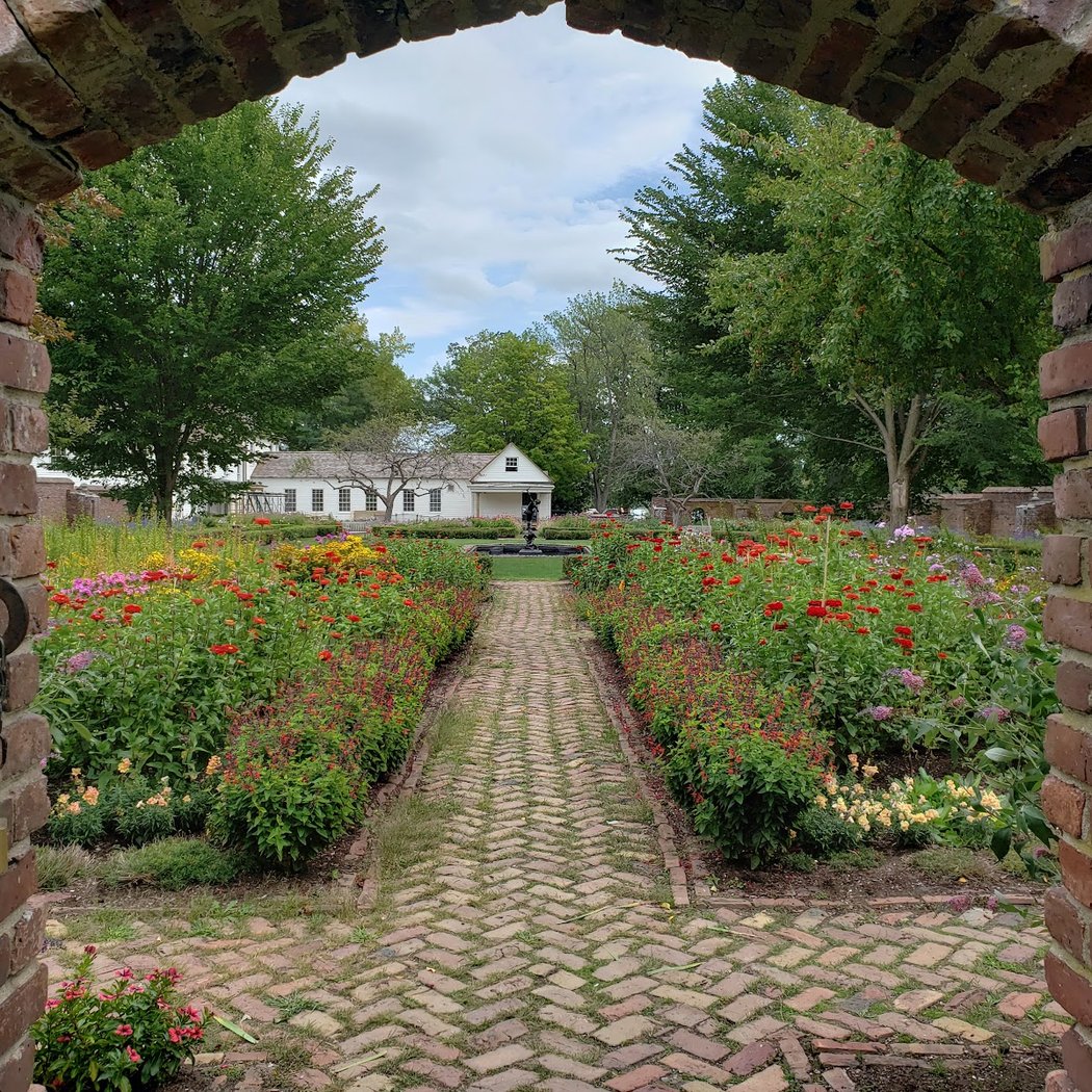 King's Garden 1