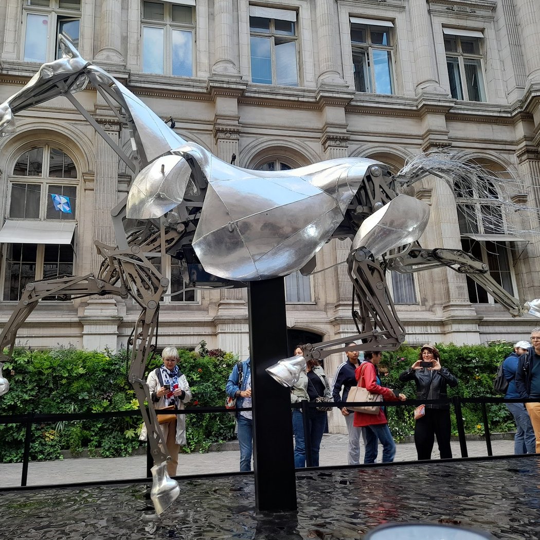 Visite libre de L'Hôtel de Ville 2
