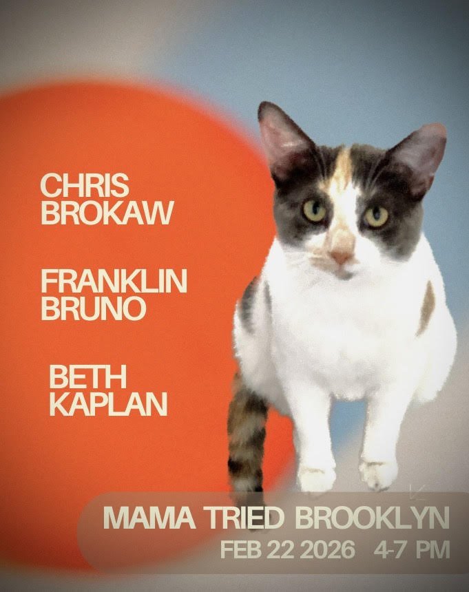 Beth Kaplan, Chris Brokaw, Franklin Bruno 1