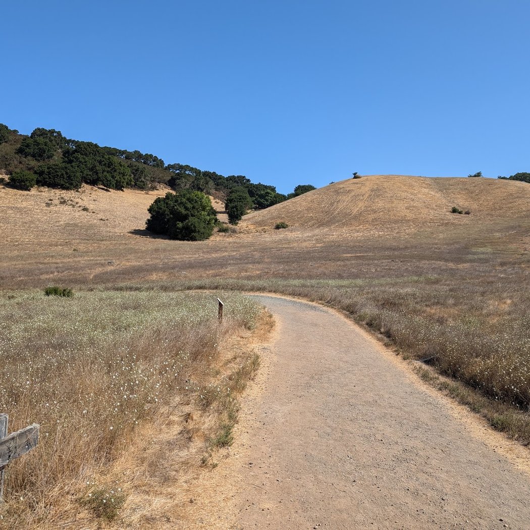 Sunset Trailhead | Edgewood Park 2