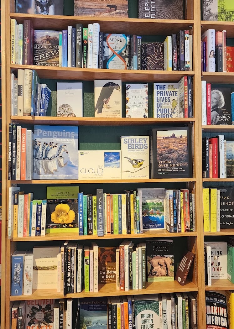 Author Event: Liam O’Brien "Butterflies of the Bay Area" 1