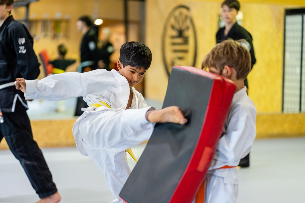 Practical Martial Arts 1