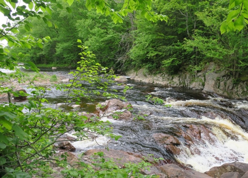 Panther Pond Trl 1