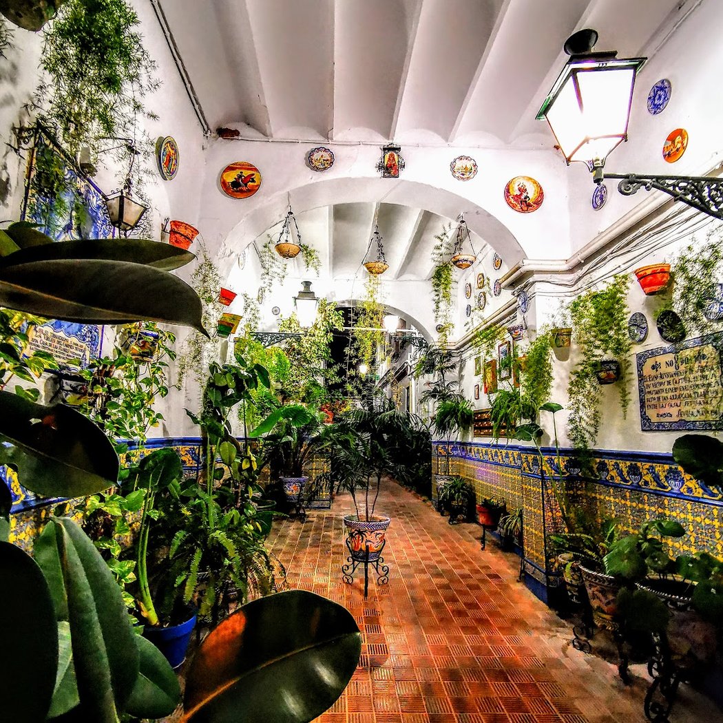 Corral de vecinos, la casa de las flores 1