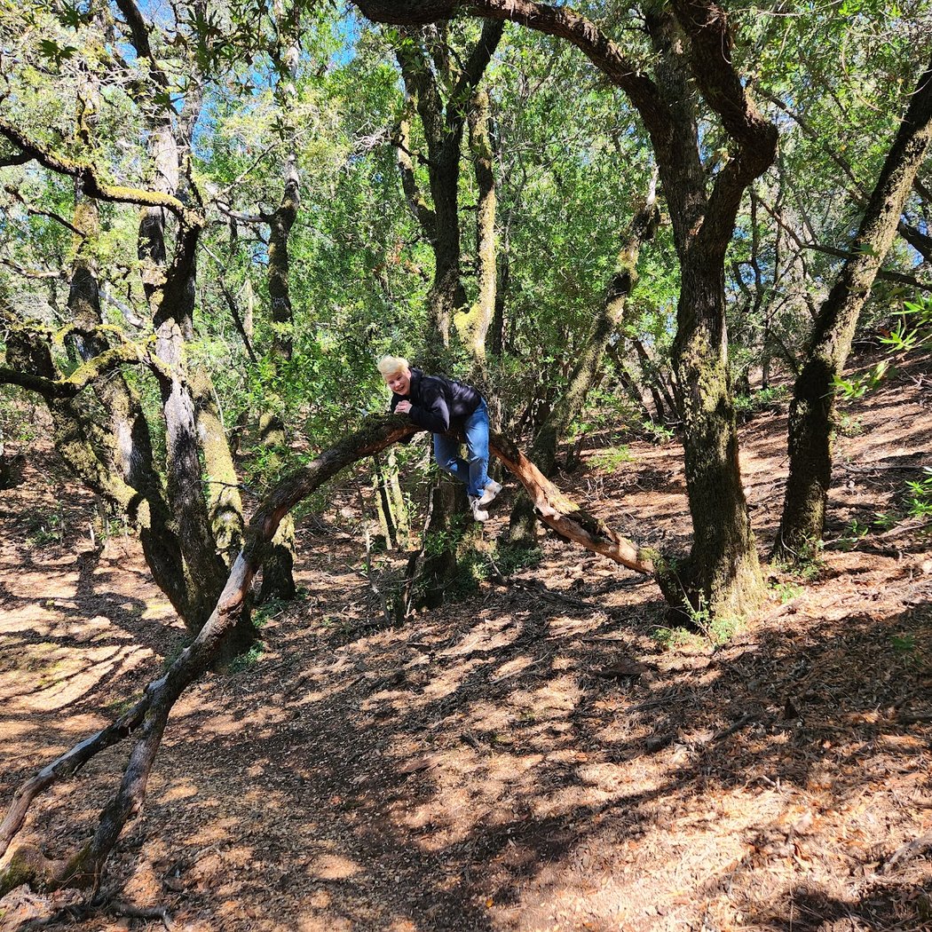 Diablo Valley Overlook 3