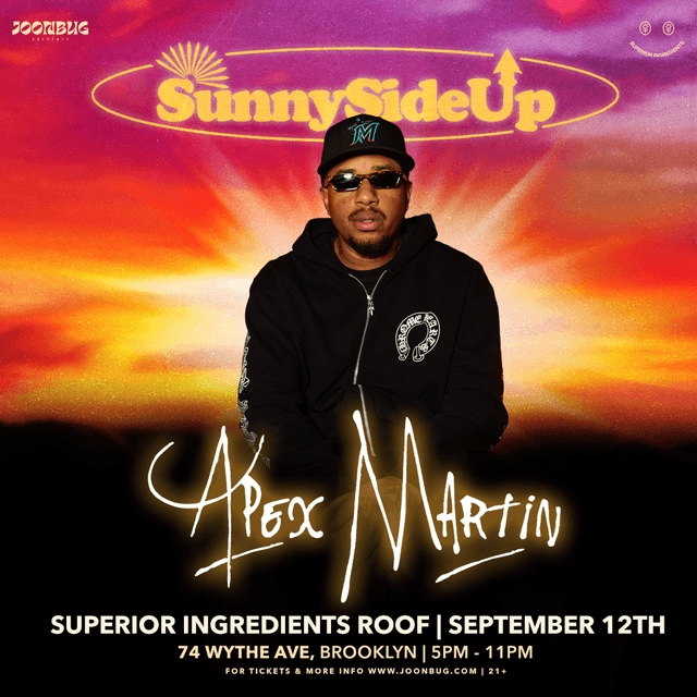 DJ APEX MARTIN & Friends Superior Ingredients The Roof 1