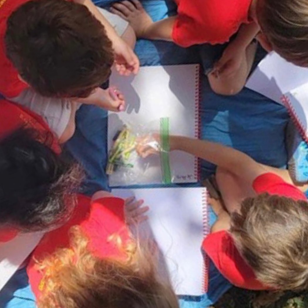 Brooklyn Heights Synagogue Summer Camp 2