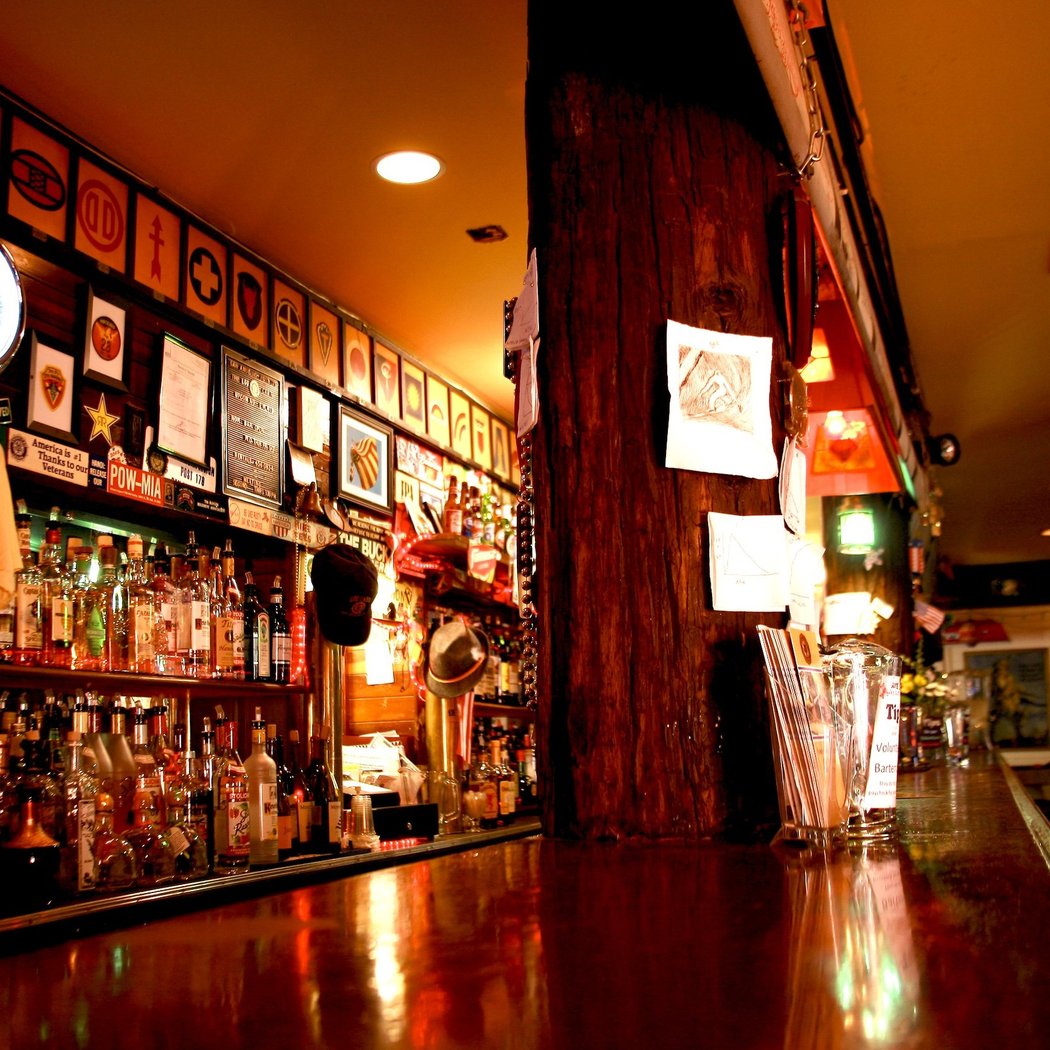 Log Cabin Dugout Bar