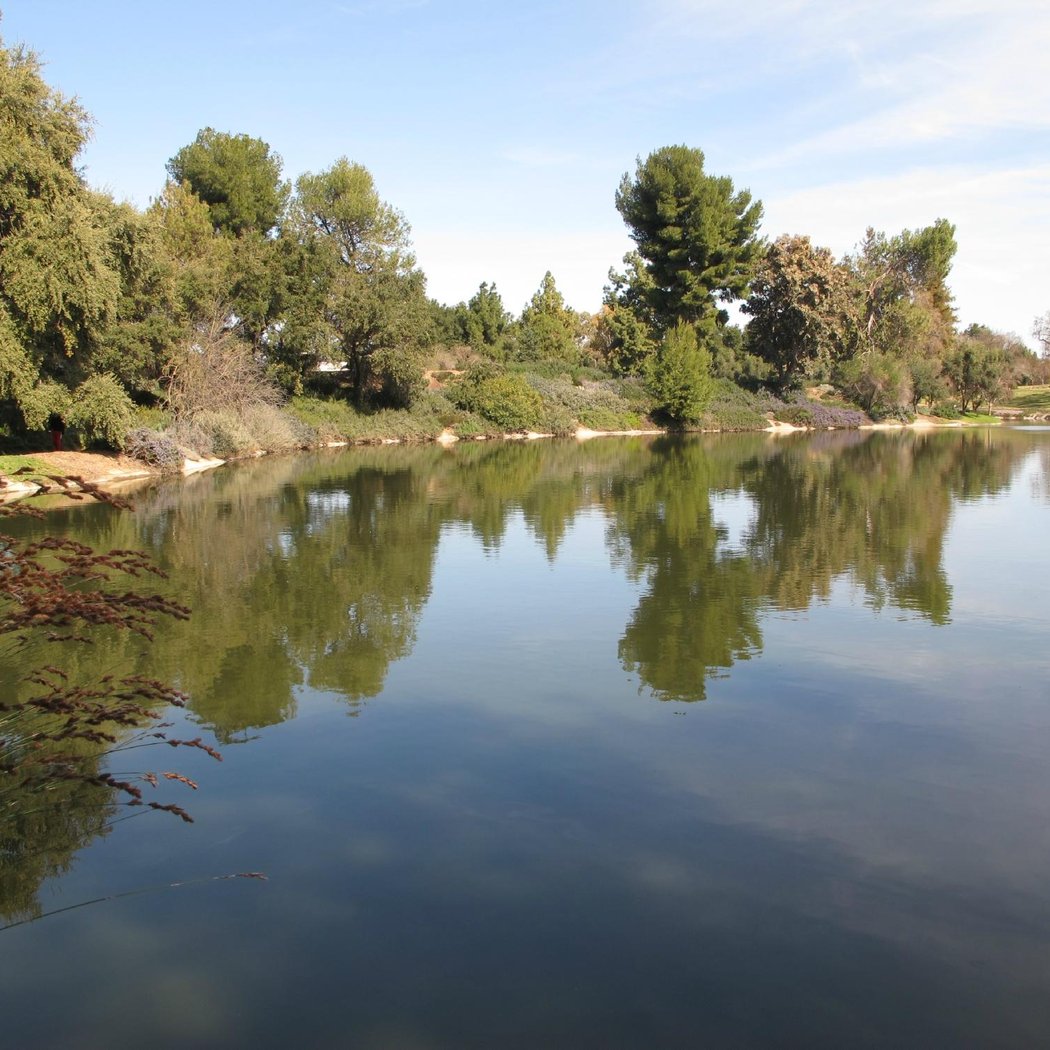 UC Davis Arboretum and Public Garden 2