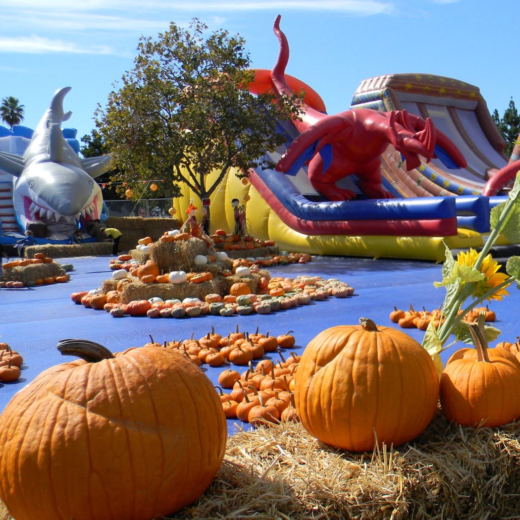 ABC Tree Farms & Pick of the Patch Pumpkins - Camden 2