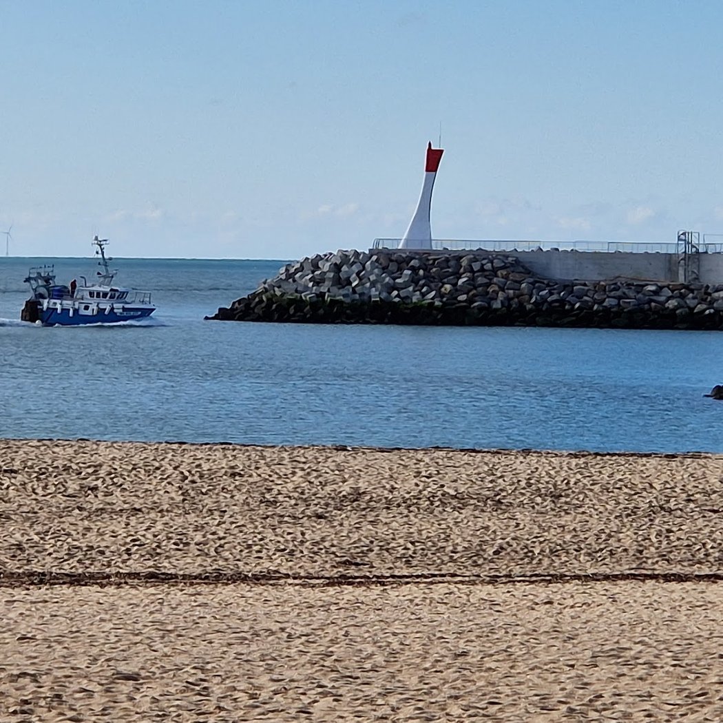 Atelier : guirlande de la mer 5