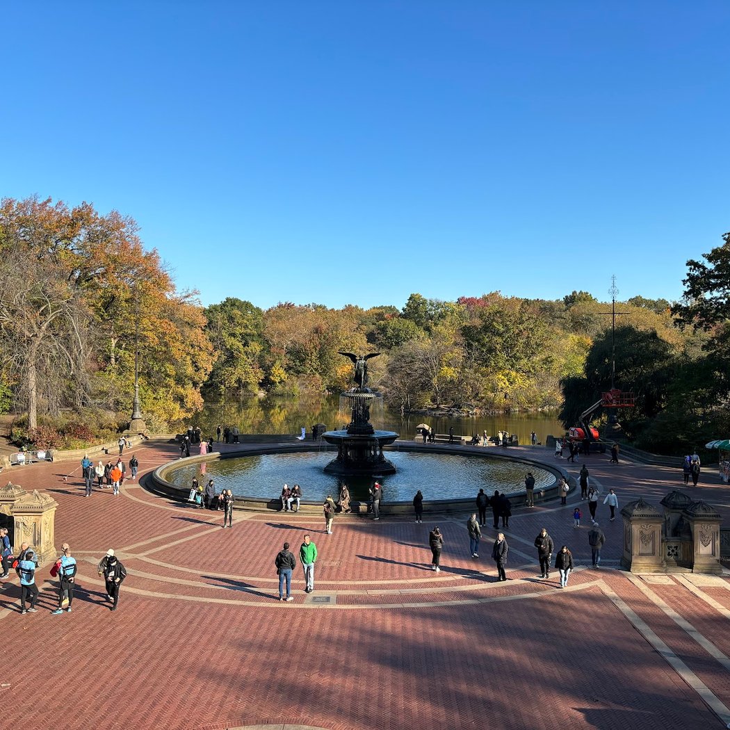 Runners' Grove 3