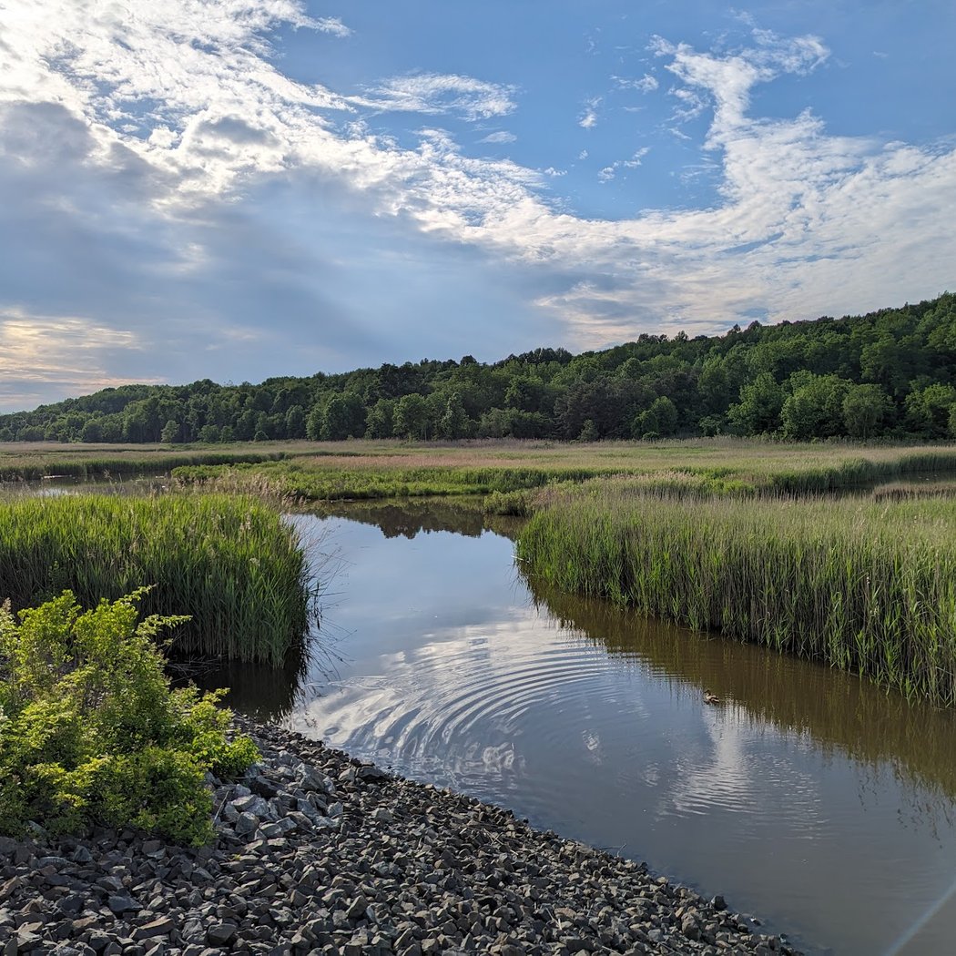 Kids Week: Spring Nature Scavenger Hunt 2
