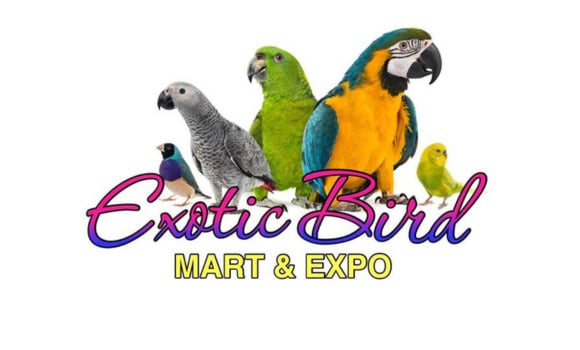 Exotic Bird Mart 1