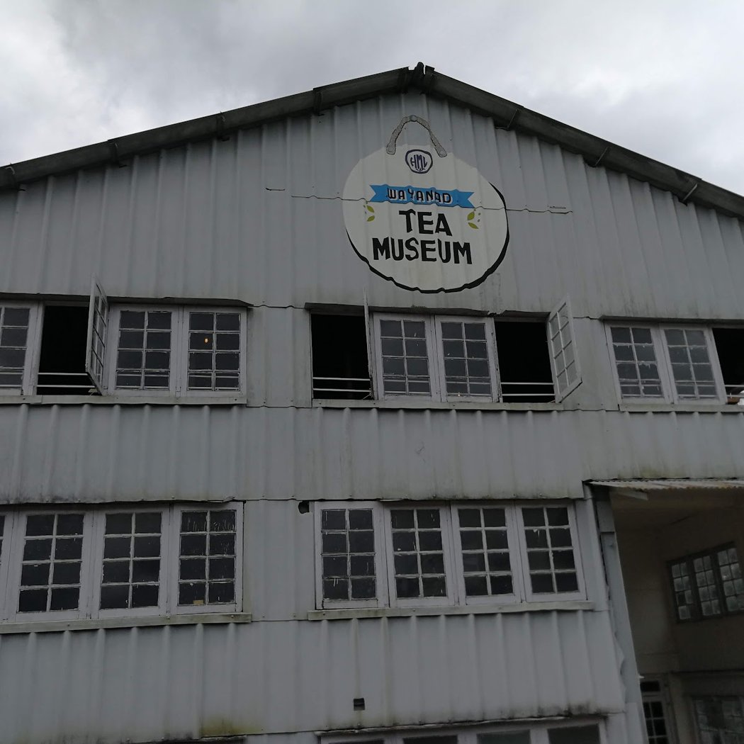 Wayanad Tea Museum 3