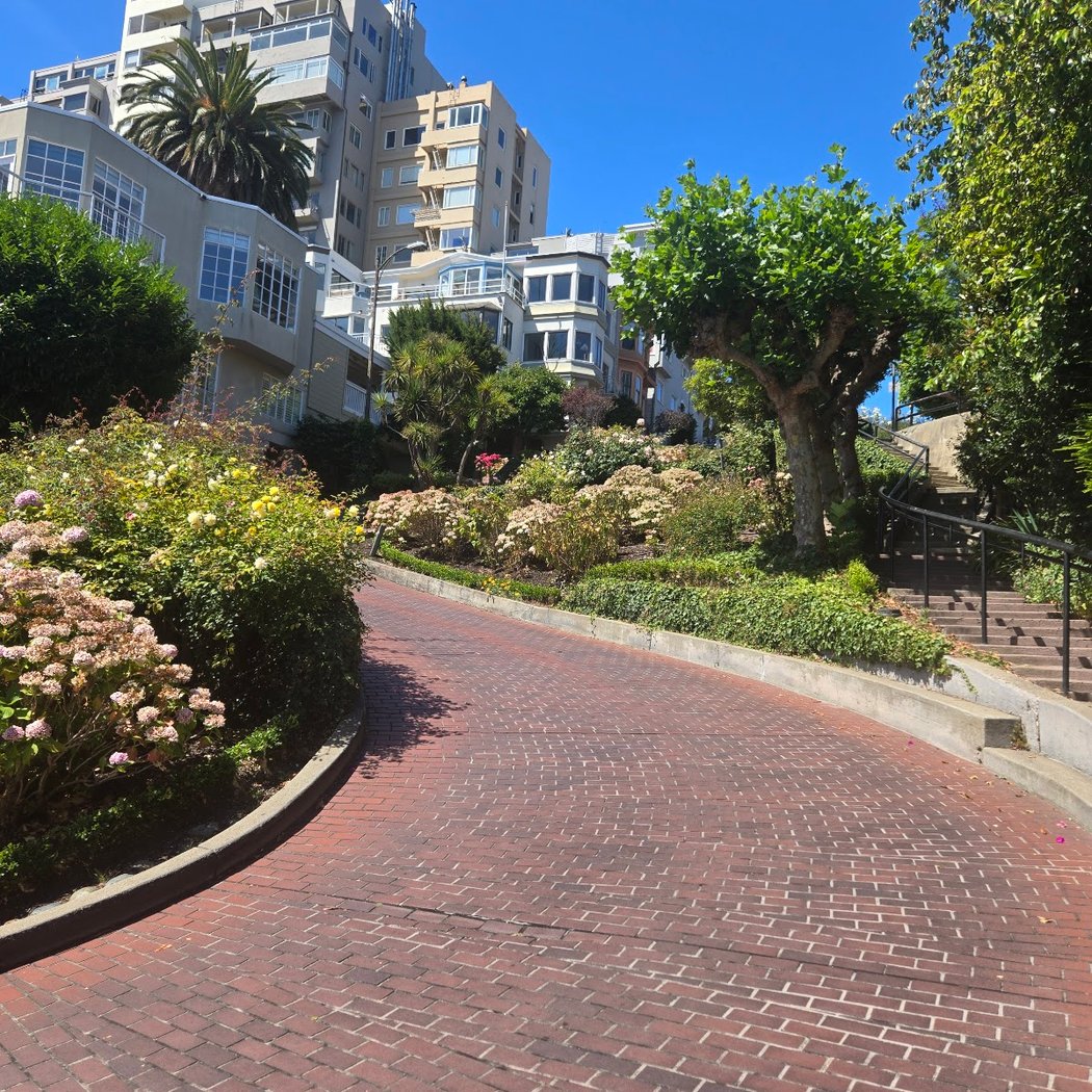 Lombard St & Lyon St 1