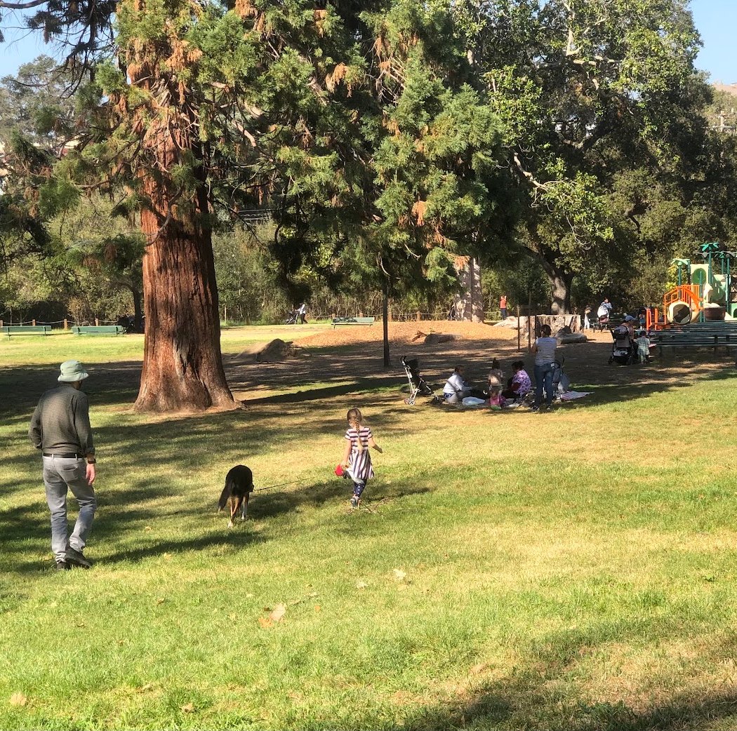 Dimond Park Playground 1