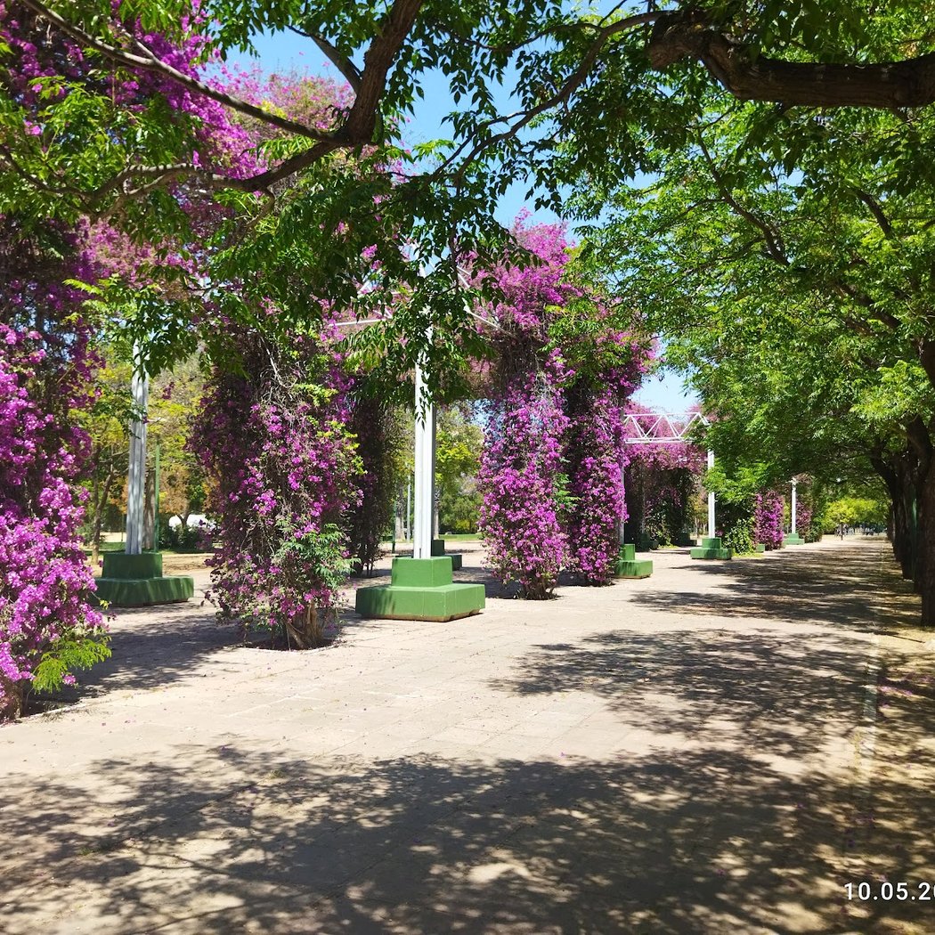 Parque José Celestino Mutis 1