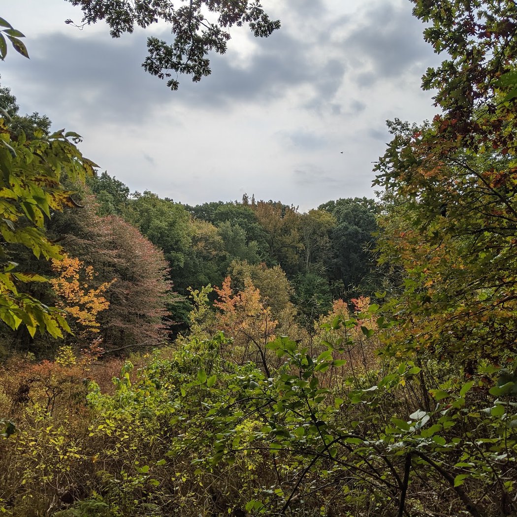 Greenbelt Conservancy Headquarters (High Rock Park) 3