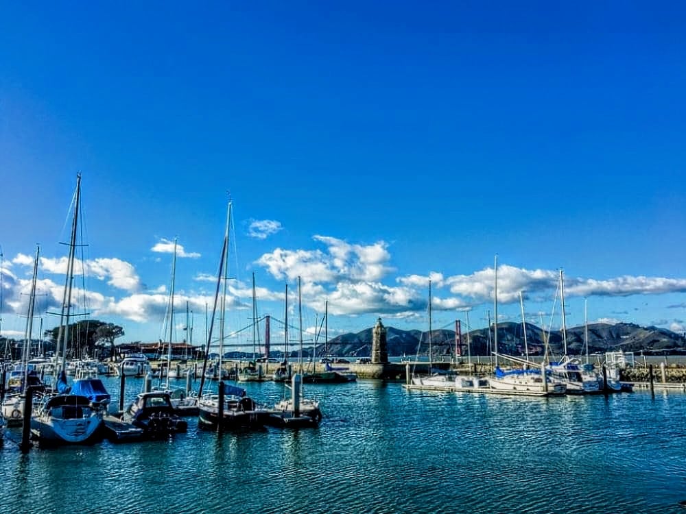 St. Francis Yacht Club 3