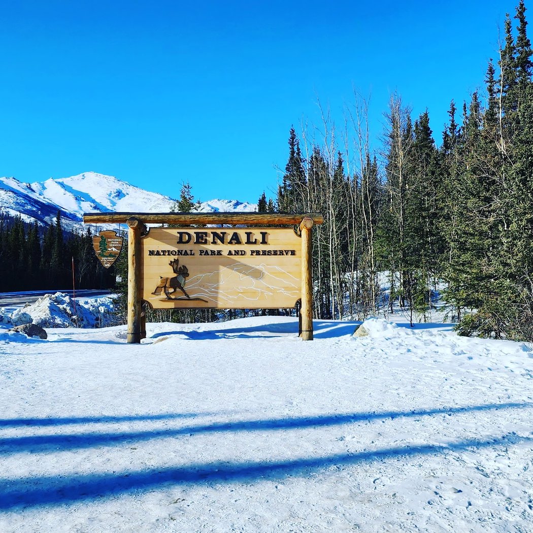 Denali National Park and Preserve 2