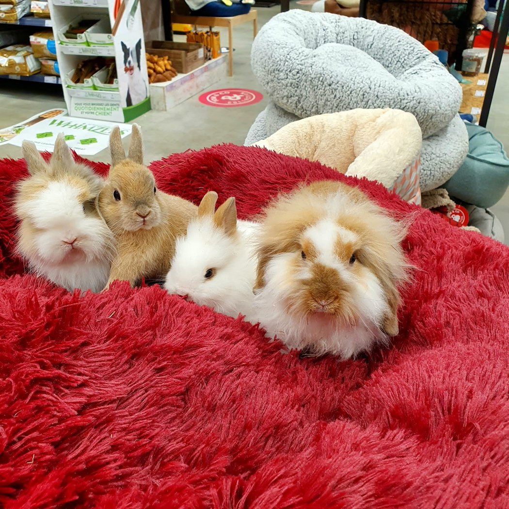 Tom&Co 3