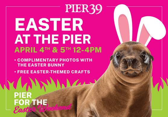 Easter Weekend at PIER 39 1