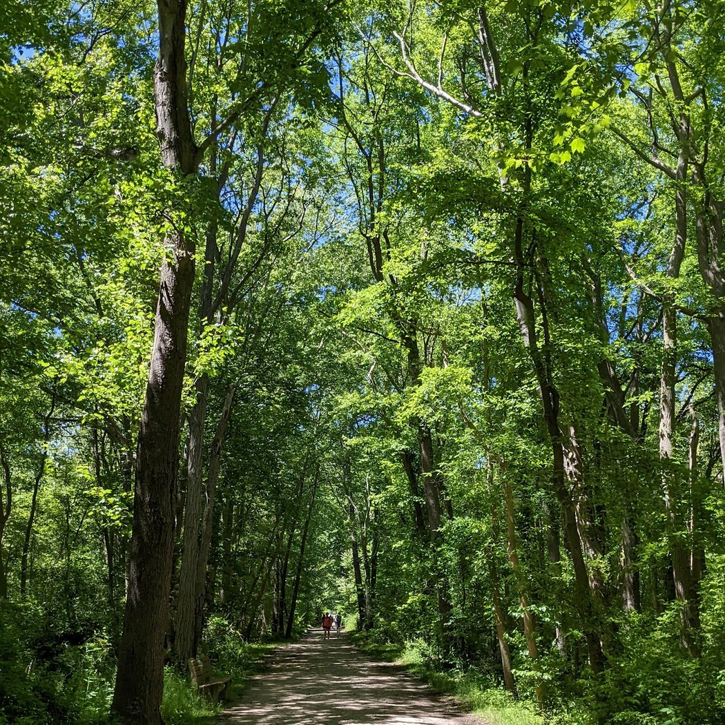 Gardiner County Park 1