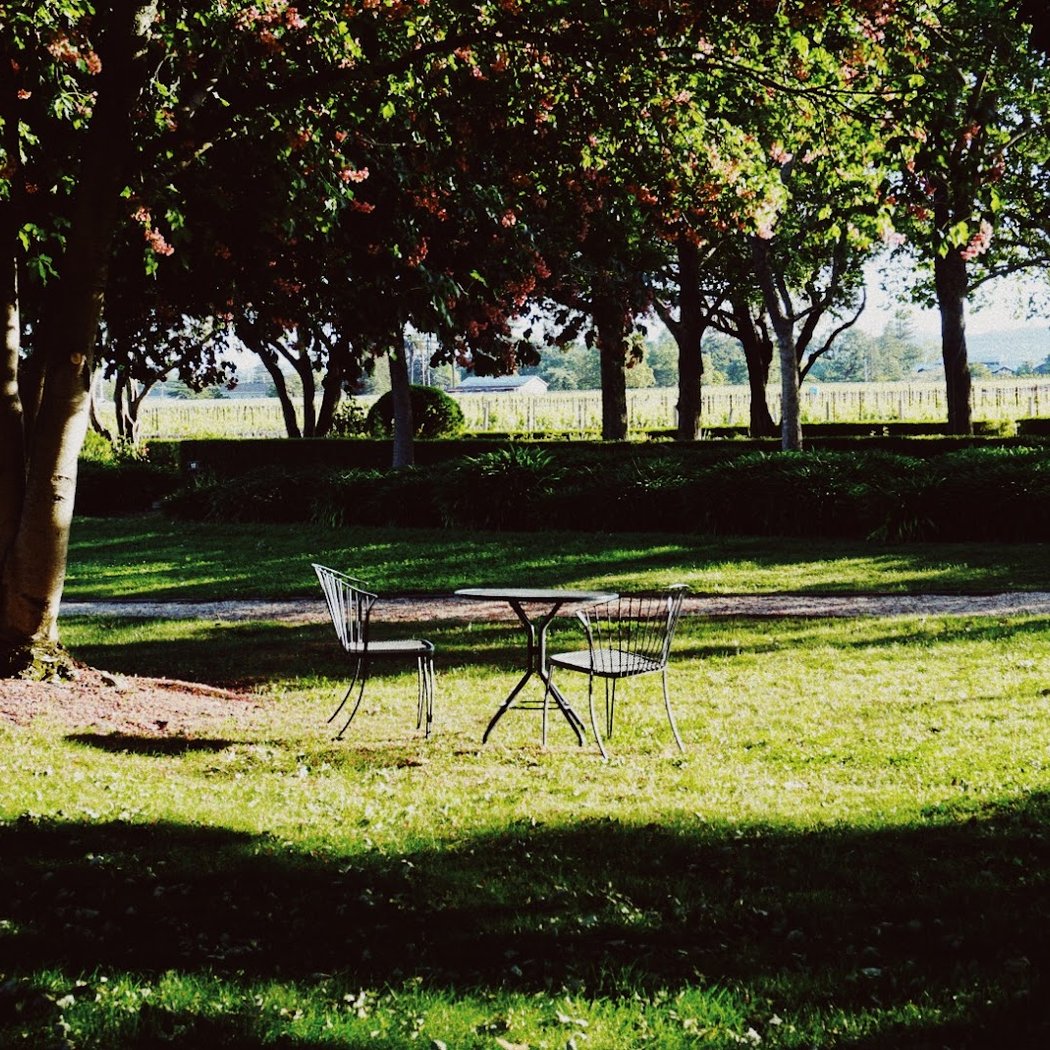 Monticello Vineyards 2