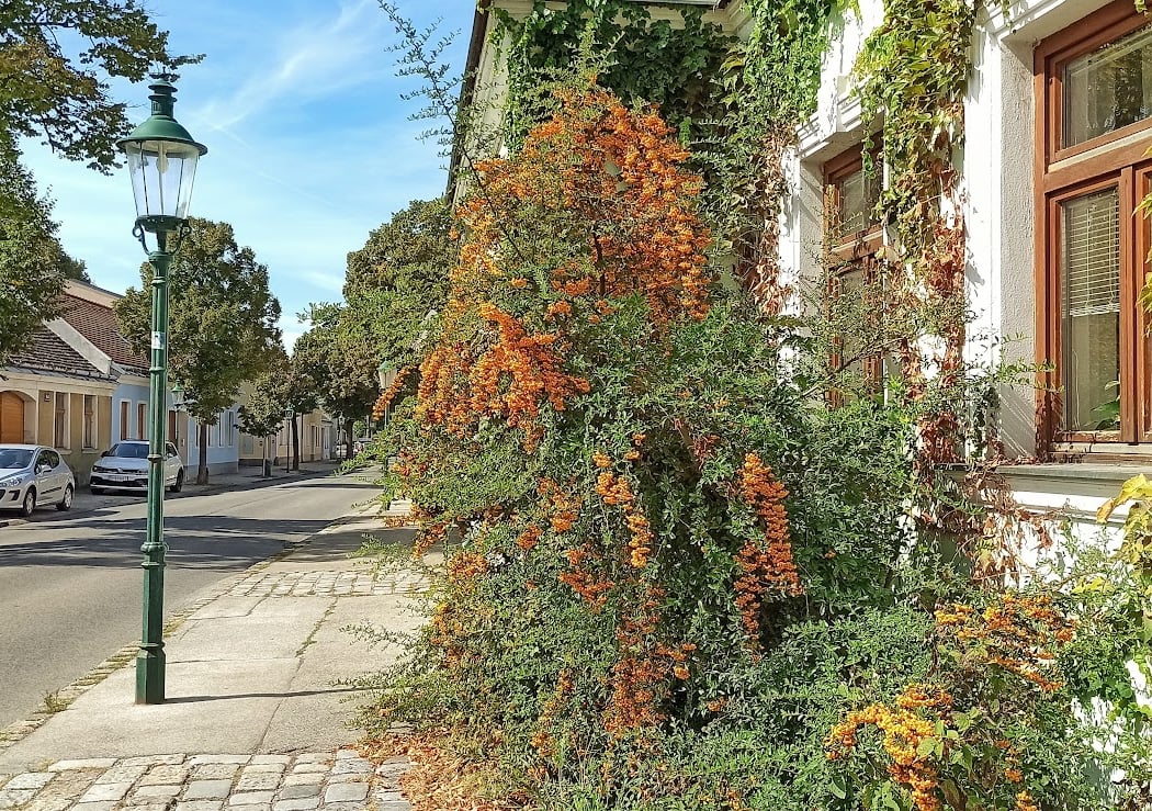 Stammersdorf 3